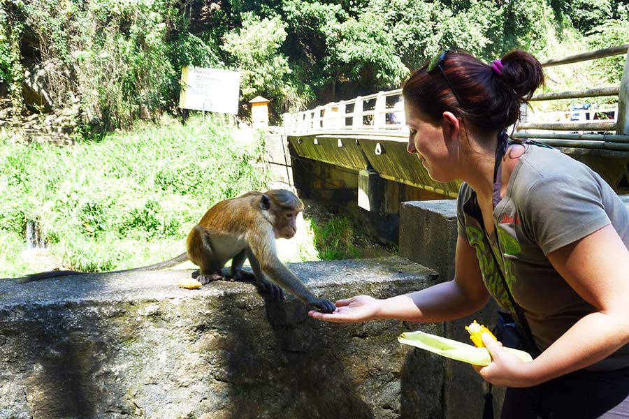 kingdom-ayurveda-resort-parchi-naturali-sri-lanka