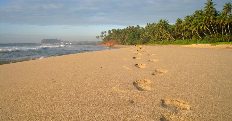 kingdom-ayurveda-resort-sri-lanka-panorama-spiaggia