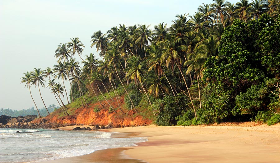 kingdom-ayurveda-resort-sri-lanka-panorama