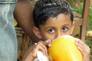 Kingdom Ayurveda Resort - Popolazione, Sri Lanka