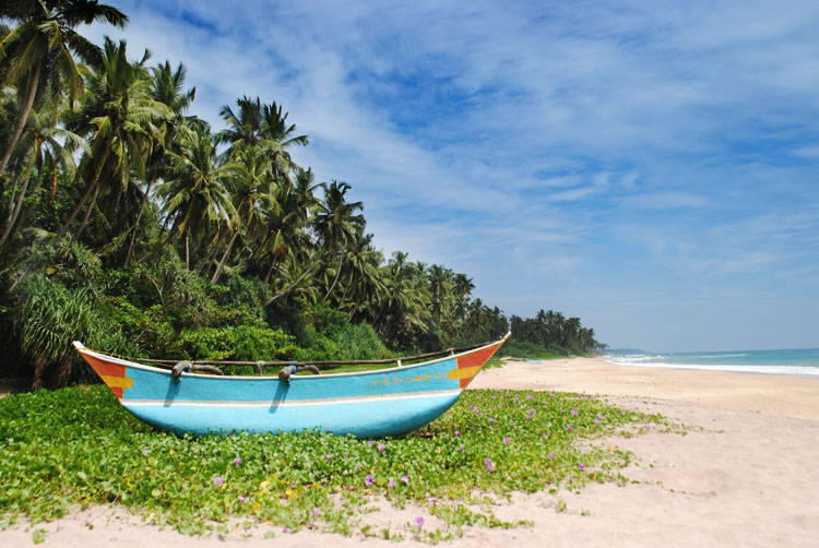 Kingdom Ayurveda Resort - Centro Specializzato trattamenti Ayurvedici in Sri Lanka